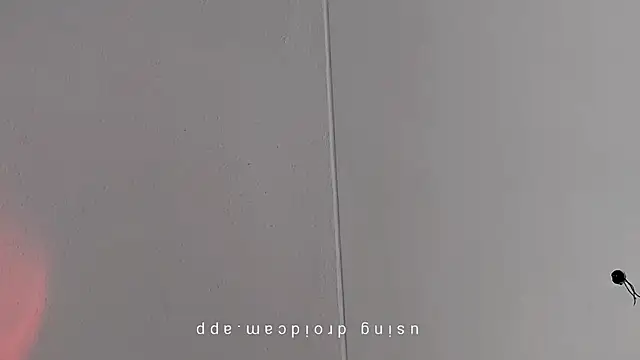 Pegg-fist-me online show from March 10, 2026, 8:52 am