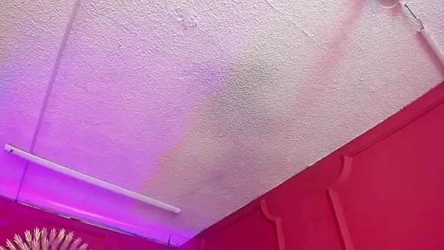 Red lady online show from March 27, 2026, 3:56 am