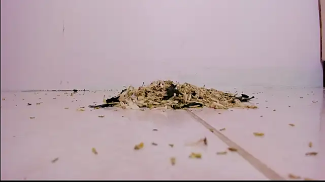 Snapshot of violeth_hill chatting on February 27, 2025, 11:26 pm violeth hill online show from February 27, 2025, 11:26 pm