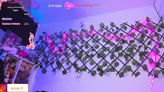 Pucaa  online show from January 28, 2025, 12:57 am