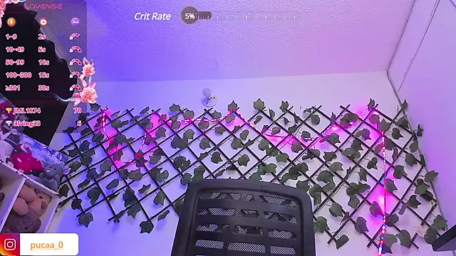 Pucaa  online show from January 30, 2025, 4:48 am