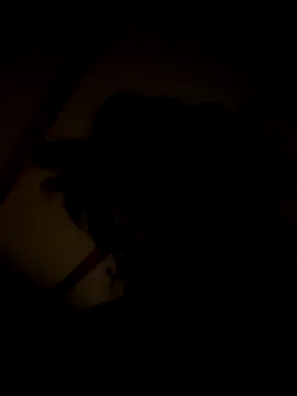 habbockwiesau online show from November 22, 2025, 9:03 pm