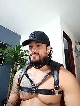 SilvaBranko online show from December 17, 2025, 12:49 am