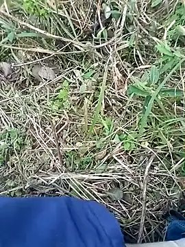 Nkumar173 online show from November 8, 2025, 11:54 am