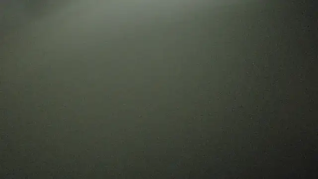 Armyexhibitionistvet online show from October 3, 2025, 11:35 pm