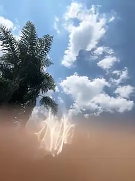 THEBUTTERNUT online show from February 6, 2026, 11:02 am