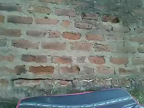 Javan  online show from January 13, 2025, 12:35 pm