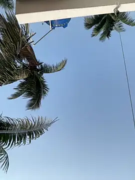 Ishikarana online show from April 14, 2026, 1:44 am