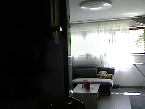 Snapshot of pimmelmann3 chatting on May 22, 2026, 11:16 am pimmelmann3 online show from May 22, 2026, 11:16 am