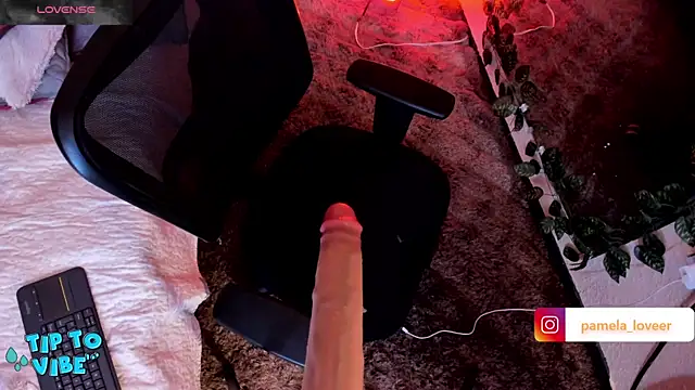 pamela bell online show from February 3, 2025, 8:57 pm