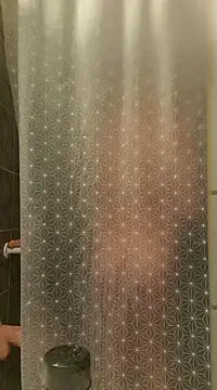 pachapeter online show from December 13, 2024, 5:21 pm