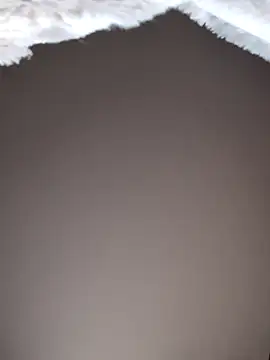 No-ties-fk online show from February 8, 2026, 1:14 pm