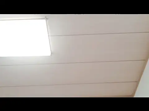 xxArisaxx online show from November 29, 2025, 6:05 am