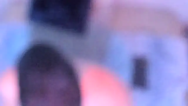 stillwild online show from December 14, 2025, 10:20 am