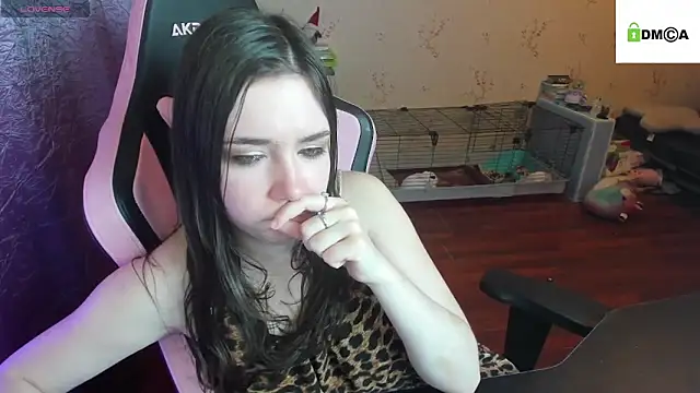 Crazy forest fairy online show from December 19, 2025, 8:54 am