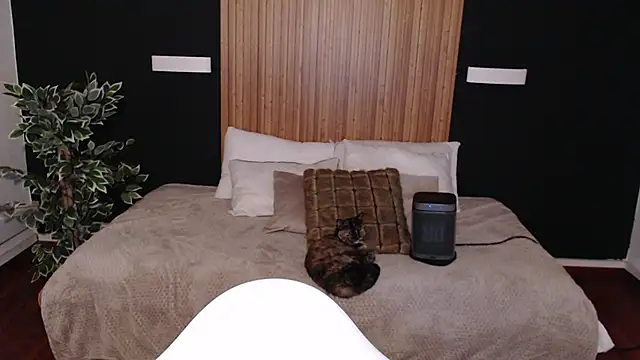 dafne bss online show from March 6, 2025, 5:03 am