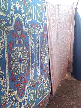 Snapshot of Burhade-- chatting on September 24, 2025, 10:29 am Burhade-- online show from September 24, 2025, 10:29 am