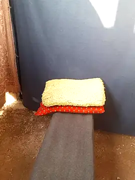 Snapshot of Burhade-- chatting on October 12, 2025, 11:31 am Burhade-- online show from October 12, 2025, 11:31 am