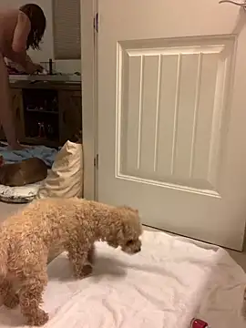 Snapshot of balad13 chatting on January 21, 2025, 4:32 am balad13 online show from January 21, 2025, 4:32 am