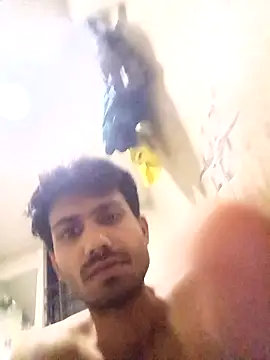 Snapshot of nikshows chatting on October 2, 2025, 3:08 pm nikshows online show from October 2, 2025, 3:08 pm