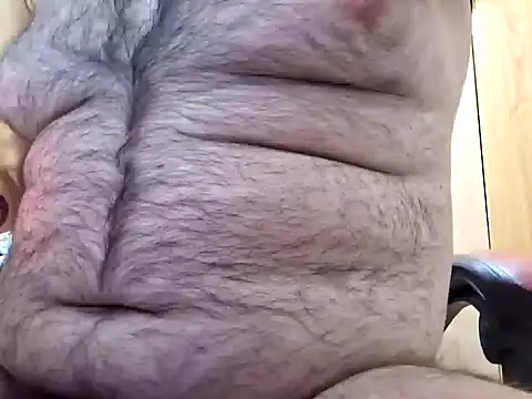 Javier bear online show from December 29, 2024, 11:07 am