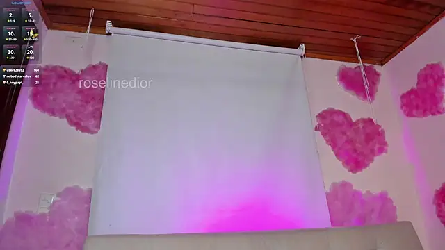 Snapshot of roselinedior chatting on February 25, 2025, 8:19 pm roselinedior online show from February 25, 2025, 8:19 pm