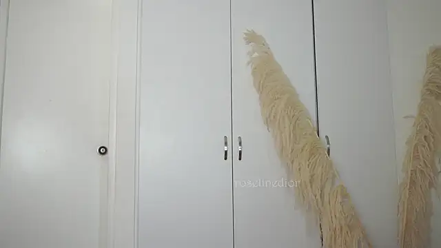 Snapshot of roselinedior chatting on October 10, 2025, 2:05 pm roselinedior online show from October 10, 2025, 2:05 pm