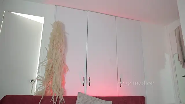 Snapshot of roselinedior chatting on November 10, 2025, 4:17 pm roselinedior online show from November 10, 2025, 4:17 pm