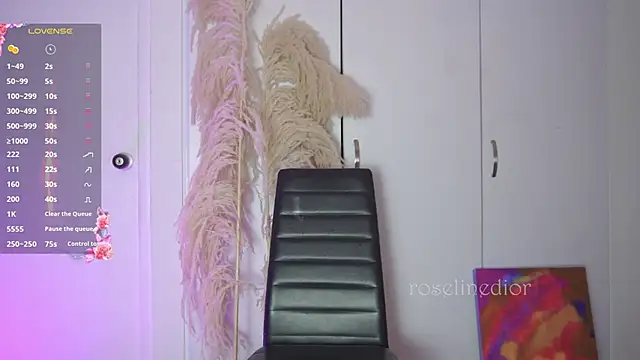 Snapshot of roselinedior chatting on November 12, 2025, 11:47 pm roselinedior online show from November 12, 2025, 11:47 pm