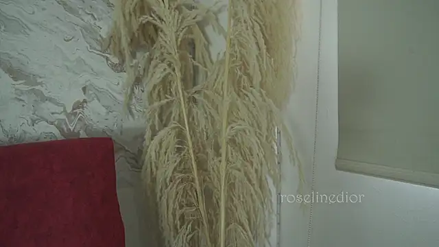 Snapshot of roselinedior chatting on December 1, 2025, 1:38 pm roselinedior online show from December 1, 2025, 1:38 pm