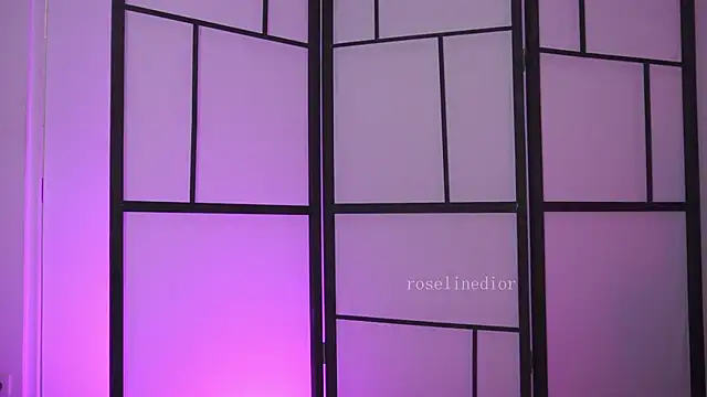 Snapshot of roselinedior chatting on February 27, 2026, 7:36 pm roselinedior online show from February 27, 2026, 7:36 pm