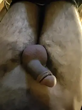 Snapshot of NilsonDick chatting on April 29, 2026, 2:32 pm NilsonDick online show from April 29, 2026, 2:32 pm