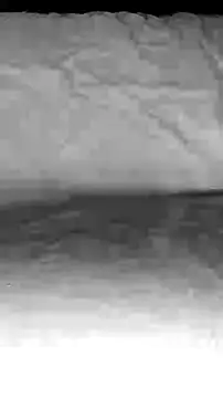 BigAssKi online show from February 3, 2025, 3:06 pm