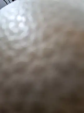 Snapshot of Kamarasa69 chatting on December 18, 2025, 8:53 am Kamarasa69 online show from December 18, 2025, 8:53 am