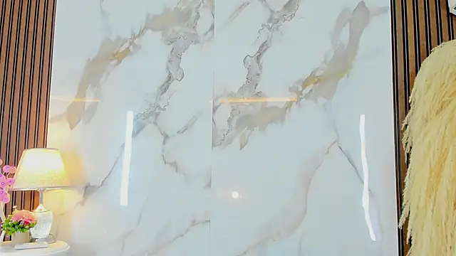 Snapshot of aidaadams chatting on February 27, 2025, 11:52 am aidaadams online show from February 27, 2025, 11:52 am