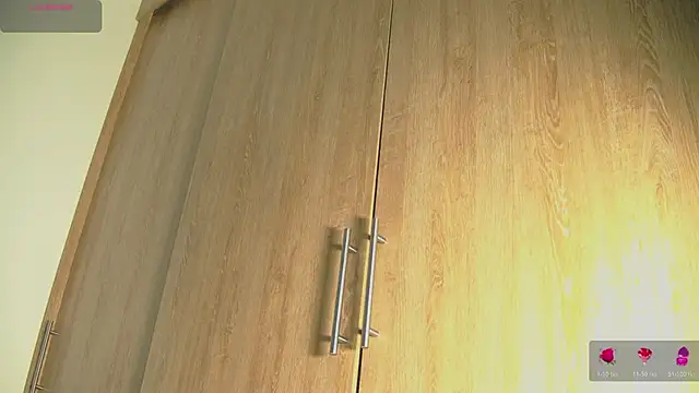 Snapshot of aidaadams chatting on November 2, 2025, 11:34 am aidaadams online show from November 2, 2025, 11:34 am