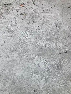 Beijing2000 online show from October 11, 2025, 2:33 am