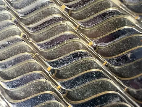 Amarok39 online show from January 6, 2025, 5:06 pm