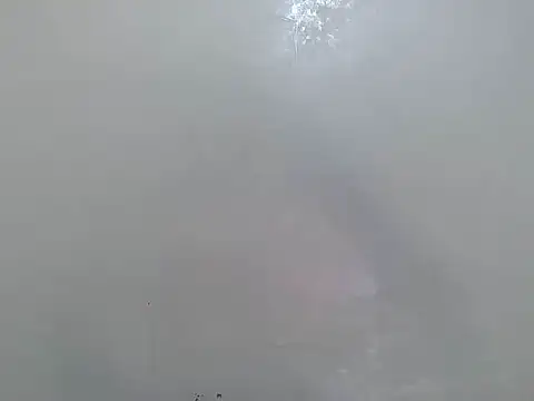 Rasta tattooed online show from March 18, 2026, 6:11 pm