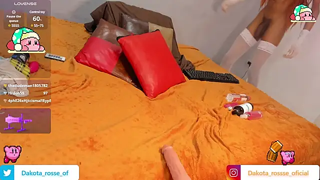 DakotaRosee online show from February 21, 2025, 9:13 am