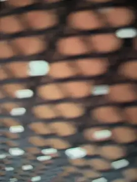 Rose-euphoria online show from November 5, 2025, 1:44 pm