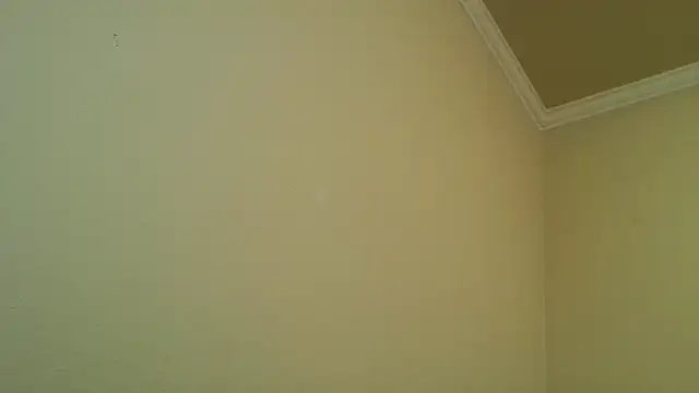 YelpedAverting online show from December 17, 2025, 12:49 am