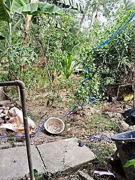 HotSexyBoudi online show from April 18, 2026, 8:51 am