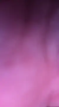 Snapshot of Women-pleasures chatting on December 29, 2024, 1:17 pm Women-pleasures online show from December 29, 2024, 1:17 pm