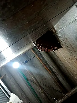 Snapshot of Restrepo300 chatting on October 3, 2025, 11:13 pm Restrepo300 online show from October 3, 2025, 11:13 pm