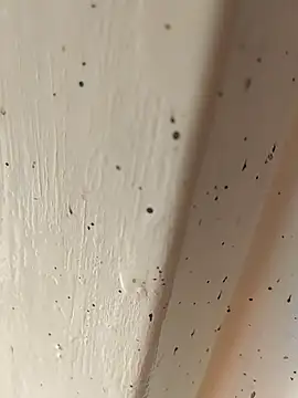 camila picante online show from April 4, 2026, 2:47 pm