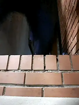 Petrossa online show from November 24, 2025, 12:21 am