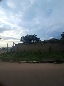 Petrossa online show from November 29, 2025, 4:15 am