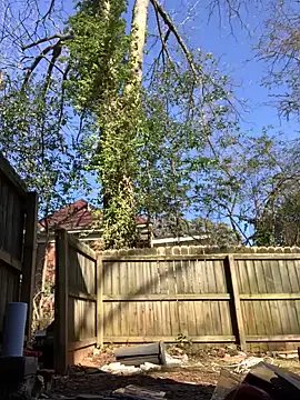 trash4cash online show from January 28, 2025, 8:04 pm