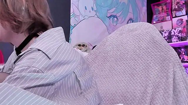 Supaidagaru online show from April 14, 2026, 4:57 pm